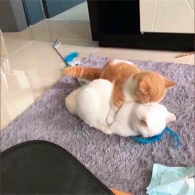 Trần Thùy Chi avatar